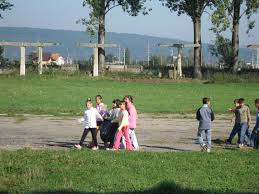 Poluarea mediului ambiant a devenit o problema globala. EducaÅ£ia EcologicÄ La Clasele I Iv Didactic Ro