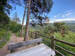 Homeadvisor's split rail fence cost guide provides installation prices for post and rail, including 3 rail vinyl, wood or cedar fencing per foot or acre. Lez Dria Al Foss From Cavareno To The Lakes Of Ruffre Hiking Route