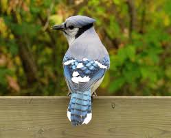 Bird With Colorful Feathers Most Beautiful Top 10 Birds In The World Nature Birds Pretty Birds Beautiful Birds