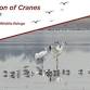 Celebration of Cranes event image