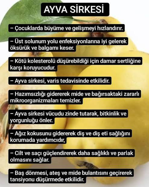 Doğal ev | Tansiyon, Ayva, Büyüme