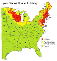 Coming Soon Human Testing Of Springtime Shot Against Lyme Disease Commonhealth