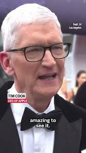 Apple CEO Tim Cook says iPhones have 'democratized film'