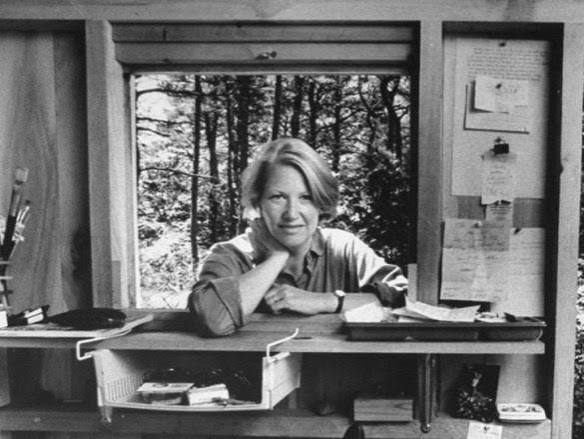 The Present” by Annie Dillard – Sublime