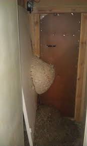 Image result for site:byggahus.se getingar