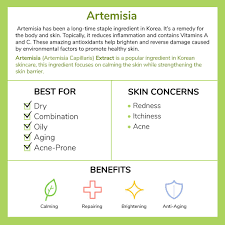 Vlog | first bath, tummy time & first doctors appointment. Ingredient 101 Artemisia Skin Benefits Skin Care Skin Care Advices