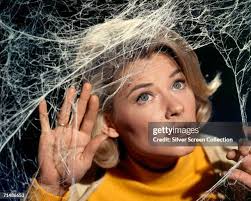 642 Haunted House's Photos & High Res Pictures