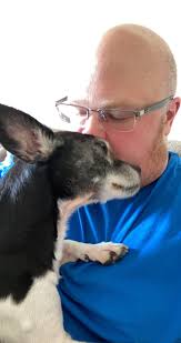 Community support for grieving niece after pet loss