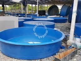 Tangki Ikan Fiber Pets For Sale In Others Kelantan
