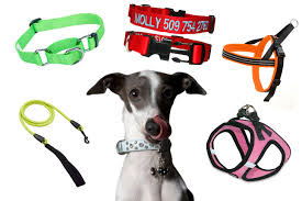 Setup instructions, pairing guide, and how to reset. Best Collar Leash For A Puppy Dog Leashes Collars