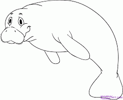 Coloring pages > animals image size: Manatee Information Coloring Pages Coloring Home