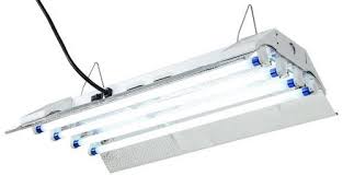 Agroflex T5 Ho 24 2 Ft 4 Lamp T5 Fixture 120 Volt Grow Masters