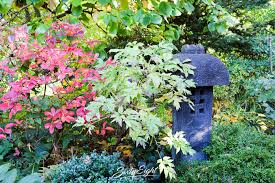 Zum vierzehnten male empfing der stadtverband nürnberg der kleingärtner e.v. Fotos Botanischer Garten Erlangen Sixtyeightpixels Com