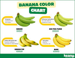 Banana Ripening Chart: A Guide to Banana Types and Benefits
