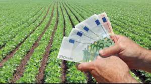 Ce înseamnă să fii avocat? Ce Ii AÈteaptÄ Pe Fermierii Romani DupÄ 2021 SubvenÈii Mai Mari FaÈÄ De Media Ue Pentru Cei Ce Folosesc Practici Ecologice