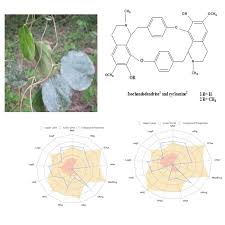 Image result for Triclisia