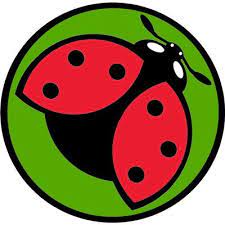 There are many spiders that live outside, but several can live inside as well. The 10 Best Exterminators In Tampa Fl With Free Estimates