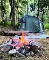 It also features a cooking grill and can even be controlled via your phone! Campsites Which Allow Fires The Weekend Warriors