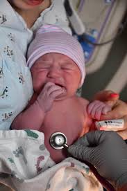 Heather Lively (@hlively20)