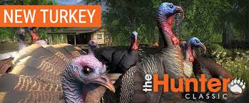 We aim to collect the top free online hunting games here. Thehunter Classic On Steam