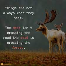 Pin On Quotes