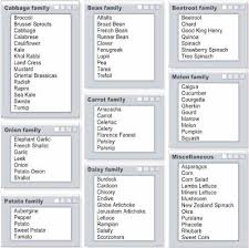 About Vegetable Families Know Your Vegetables