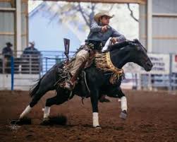 PA Speaker Information