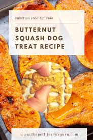 Heat the olive oil in a large casserole, add the onion and butternut squash and plenty of butter (to taste) and cook untill brown and caramelised. Butternut Squash Dog Treat Recipe The Pet Lifestyle Guru