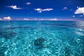 Image result for 沖縄の海