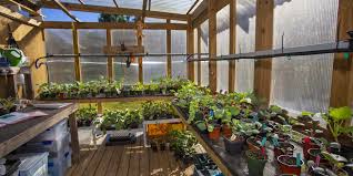 2 plant your seedlings in full sun after the last frost. How To Start A Community Or Organic Garden Tampa Magazine