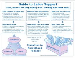 guide to labor support transition to parenthood