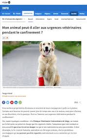 See this page in french: Mon Animal Peut Il Aller Aux Urgences Veterinaires Pendant Le Confinement Presse Web Union Professionnelle Veterinaire