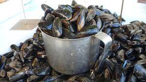 1 litre de moules en kg. Quel Est Le Poids D Un Litre De Moules Chez Mon Poissonnier