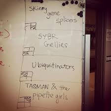 Biology Group Chat Names Team Names In My Molecular Biology Lab Class Which One Do You Think Is The Best Biology Labs Team Names Molecular Biology