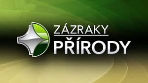 Na to odpovídal v pořadu dvtv končící starosta a televizní moderátor vladimír kořen, tvář známého pořadu zázraky přírody. Zazraky Prirody 2009 Csfd Cz