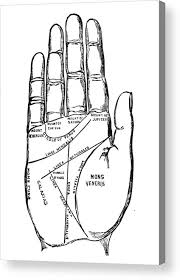 Palmistry Chart 1885 1 Acrylic Print