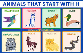 Some of my favorite info resources are the iucn redlist, arkive, fishbase, the cornell lab of ornithology, encyclopedia of life, & one zoom. 70 Animals That Start With X List With Pictures And Facts Animals Space