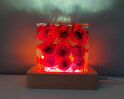 Real 9 Red Roses Night Light, Real Rose Lamp, Real Rose Resin Block, Resin  Paperweight, Gift for Her, Home Decor,gift for Mo