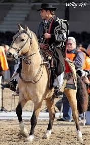 In prehistoric times horses may have existed in modern argentina. 10 Argentine Criollo Horses Ideas Horses Criollo Horse Breeds