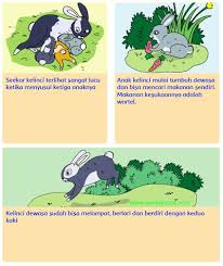 Hallo sahabat kbi bingung mau belajar bahasa inggris tapi minim bahan atau materi. Kunci Jawaban Tantri Basa Kelas 5 Halaman 13 Ilmu Link