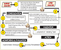 roles and functions of the school drrm committees sdrrmcs