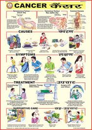 Spectrum Impex Health Hygiene And Sanitation Charts