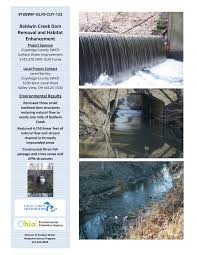 Baldwin Creek Dam Removal and Habitat Enhancement