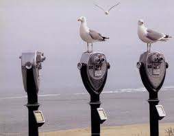 Marcia Joy Duggan The Onlookers