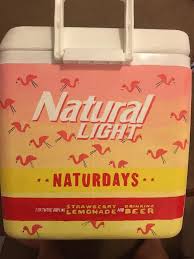 Natural Light Naturdays Beer Painting Natural Light Cooler Painting