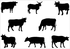 Cow Silhouette Vector Clip Art Pack Silhouette Clip Art Animal Silhouette Clip Art