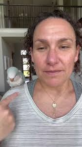 Training Aggressive Auggie: How to Calm Your Quaker Parrot