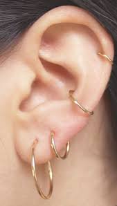 Aspen 16g Segment Ring Multiple Ear Piercing Earings Piercings Ear Piercings