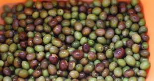 家庭で出来る 塩漬けオリーブの作り方 塩水 苛性ソーダを使った実の渋抜き方法 latte 料理 レシピ お料理 オリーブ