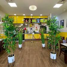 Image result for Grona afra